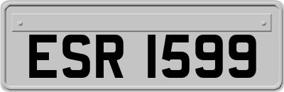 ESR1599