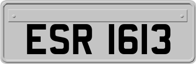 ESR1613