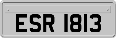 ESR1813