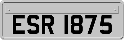 ESR1875