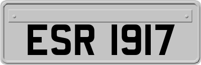 ESR1917