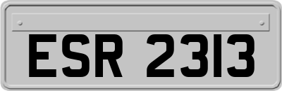 ESR2313