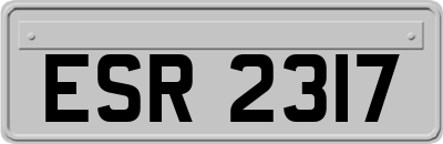 ESR2317