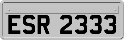 ESR2333