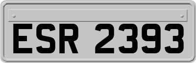 ESR2393