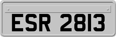 ESR2813