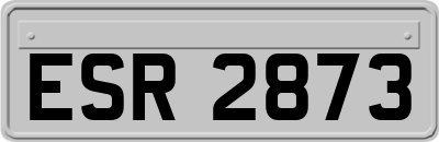 ESR2873
