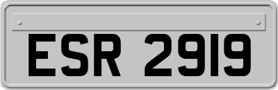ESR2919