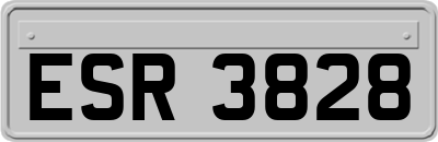 ESR3828