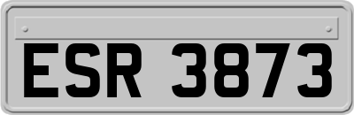 ESR3873