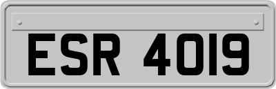ESR4019