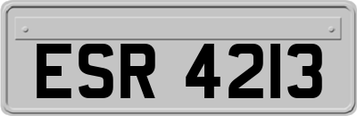 ESR4213