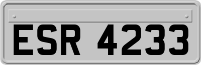 ESR4233