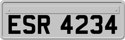 ESR4234