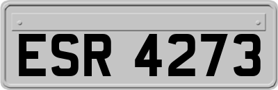 ESR4273