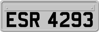 ESR4293