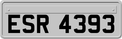 ESR4393