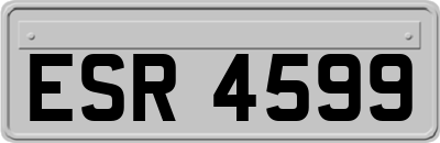 ESR4599