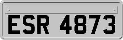 ESR4873