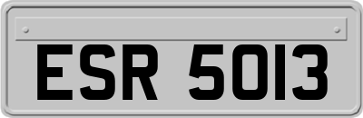 ESR5013