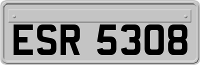 ESR5308