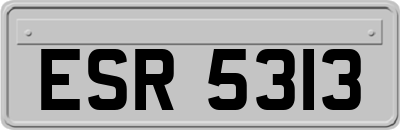 ESR5313