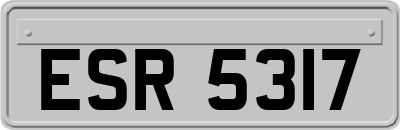 ESR5317