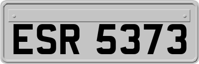 ESR5373