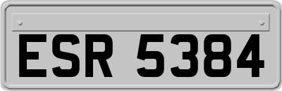 ESR5384