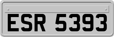 ESR5393