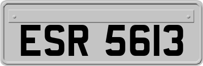ESR5613