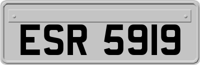 ESR5919