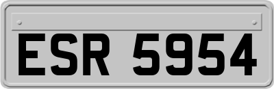 ESR5954