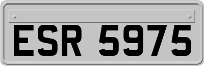 ESR5975
