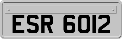ESR6012