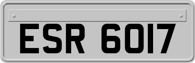 ESR6017