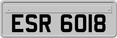 ESR6018