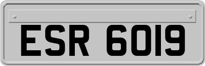 ESR6019