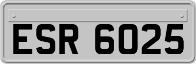 ESR6025