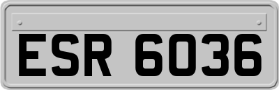 ESR6036