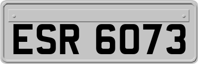ESR6073