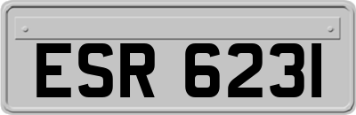 ESR6231