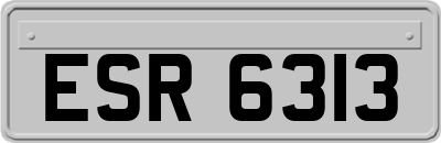 ESR6313