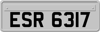 ESR6317