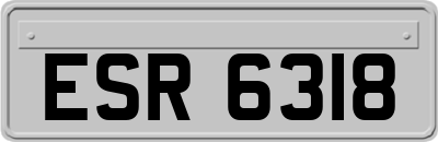 ESR6318
