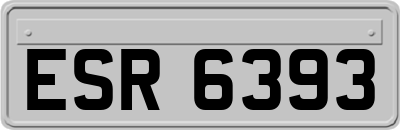 ESR6393