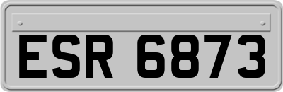 ESR6873