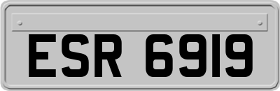 ESR6919