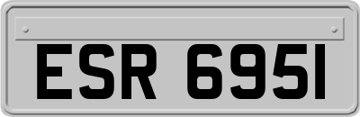 ESR6951