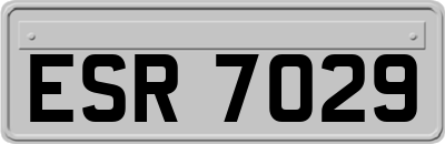 ESR7029